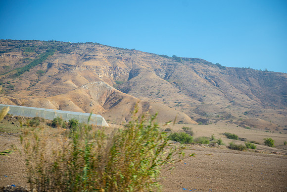 0762_2015_Israel_Trip_4388