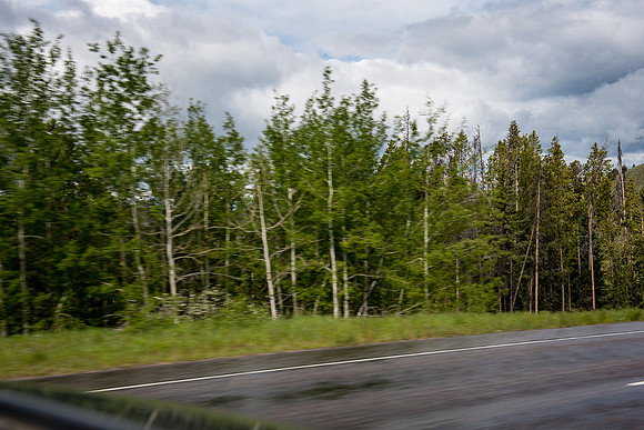 2019_Alaska_Trip_Day03_3559