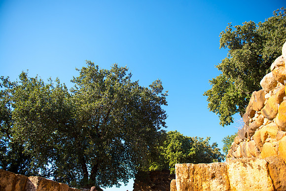 0703_2015_Israel_Trip_4329
