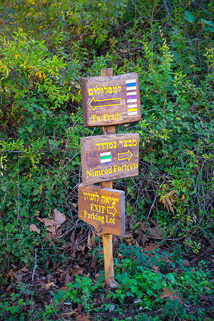 0661_2015_Israel_Trip_4286
