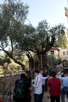 1242_2015_Israel_Trip_4872