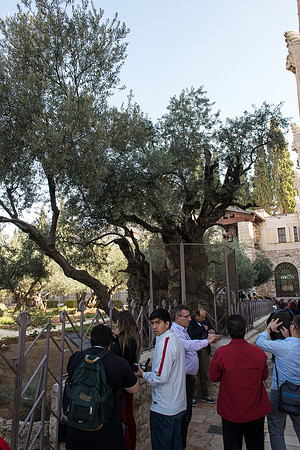 1242_2015_Israel_Trip_4872