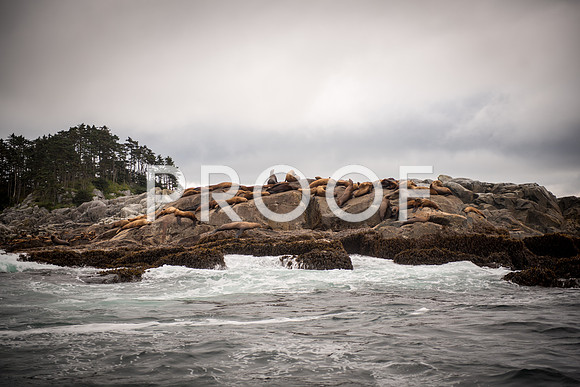 Fishing_750_9481