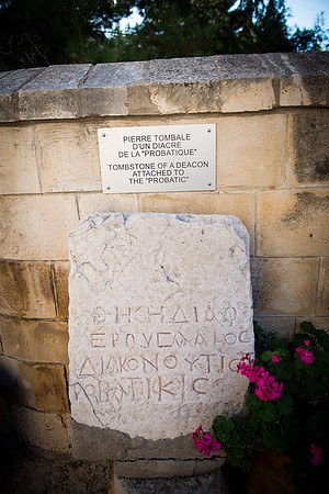 1655_2015_Israel_Trip_5326