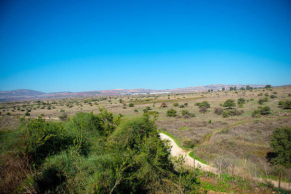 0732_2015_Israel_Trip_4358