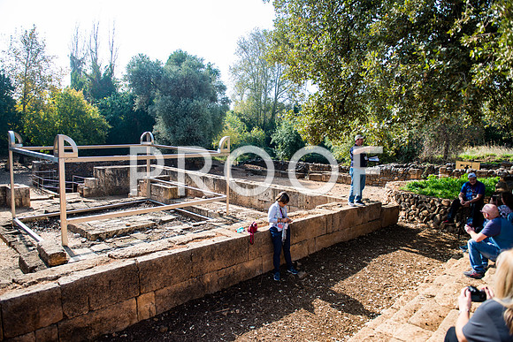 2018_Israel_Trip_04_03-7270