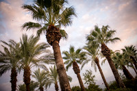 0294_2015_Israel_Trip_3783