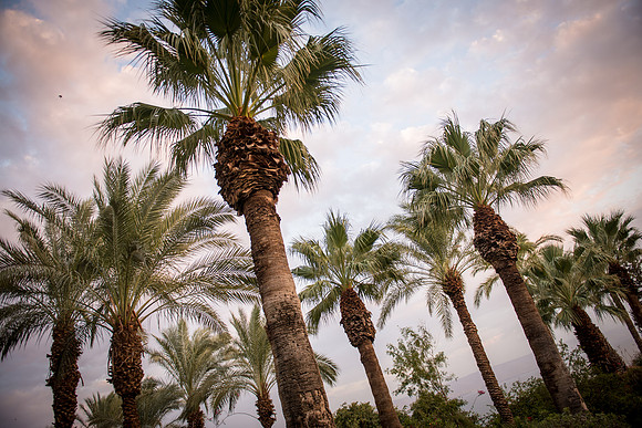 0294_2015_Israel_Trip_3783