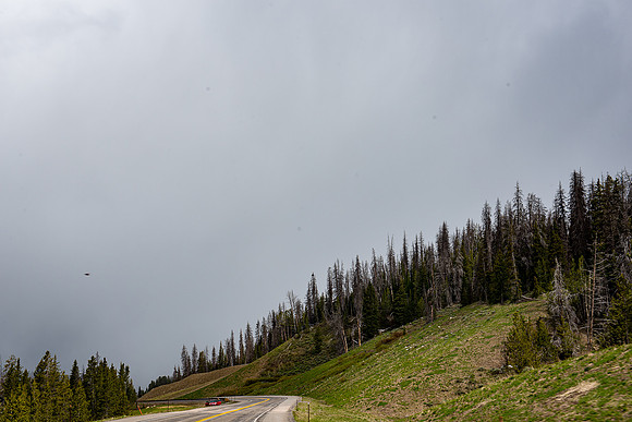 2019_Alaska_Trip_Day03_3525