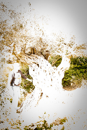 1484_2015_Israel_Trip_5154