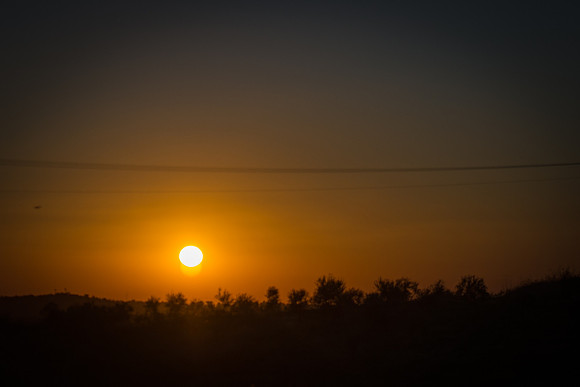 1902_2015_Israel_Trip_5582