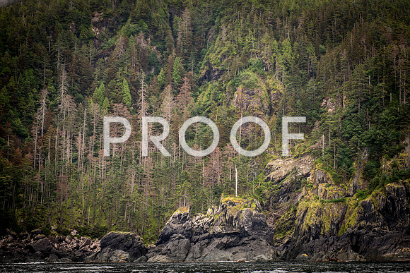 Fishing_750_9617