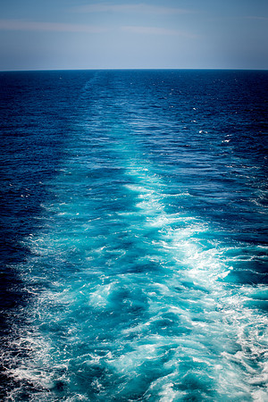 0195_2016_Carnival_Cousins_Cruise_6594