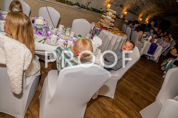 2024-Kussman-Wedding-173926-3794