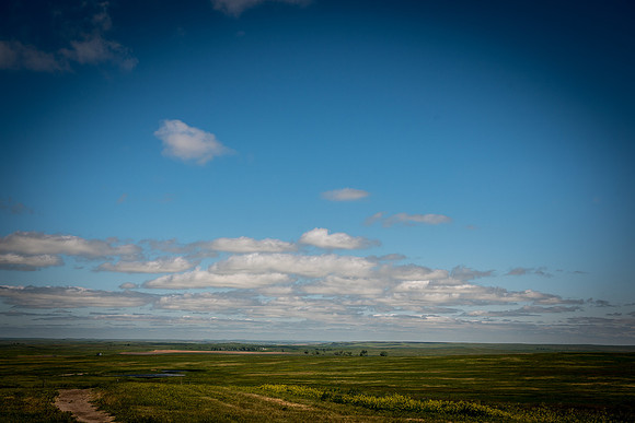 2019_Alaska_Trip_Day02_2894