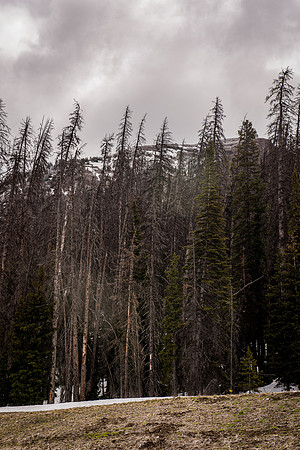 2019_Alaska_Trip_Day03_3504