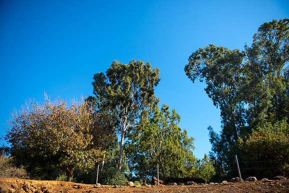0710_2015_Israel_Trip_4336