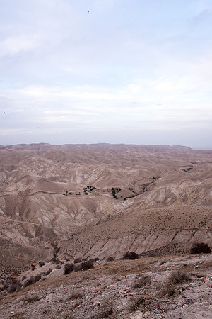 1031_2015_Israel_Trip_4661