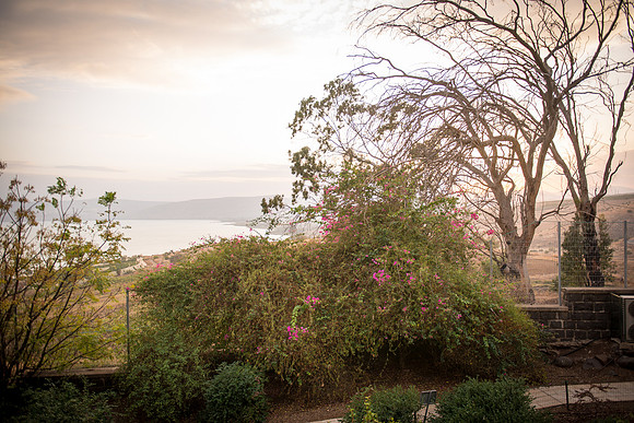 0284_2015_Israel_Trip_3772