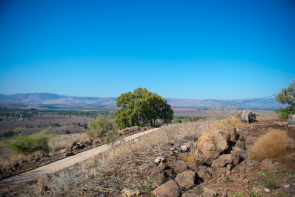 0751_2015_Israel_Trip_4377