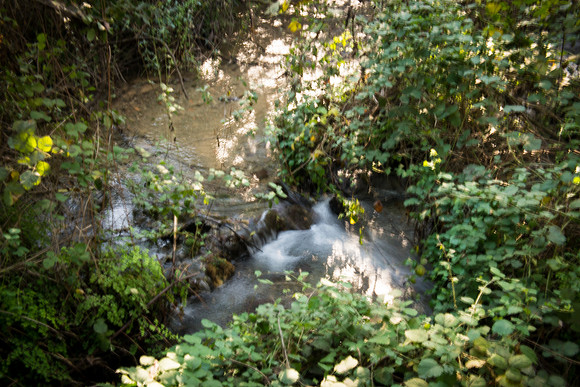 0678_2015_Israel_Trip_4304