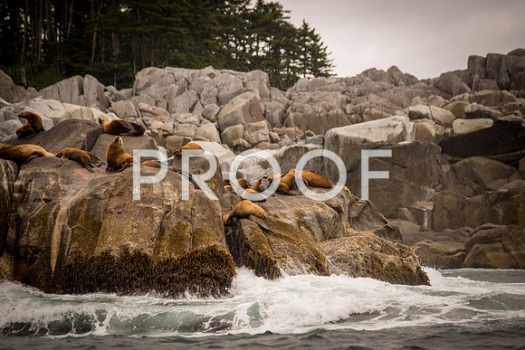 Fishing_610_2109