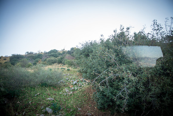0604_2015_Israel_Trip_4229