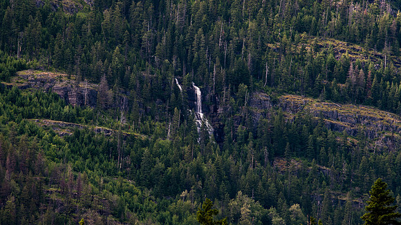 2020_FamilyVaca_Day08_GlacierNatlPark_20200712_170842.4790