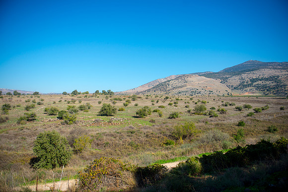 0729_2015_Israel_Trip_4355