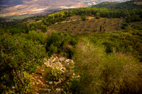 0117_2015_Israel_Trip_3605