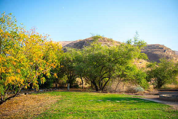 0537_2015_Israel_Trip_4027