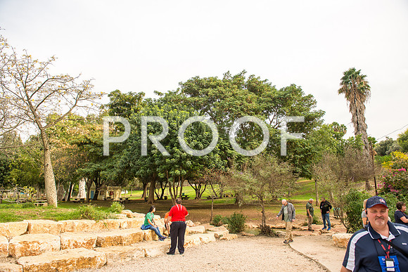 2018_Israel_Trip_03_04-GideonSprings7044
