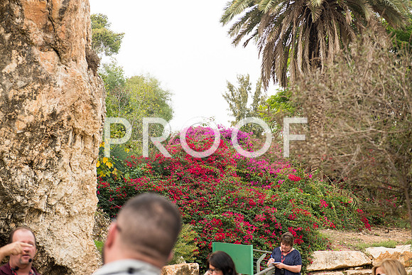 2018_Israel_Trip_03_04-GideonSprings7036