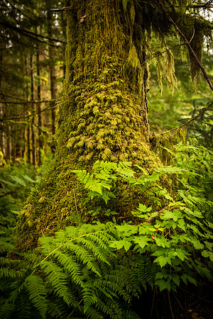 HarrisRiver_750_9186