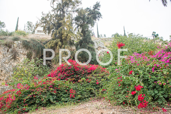 2018_Israel_Trip_03_04-GideonSprings7026