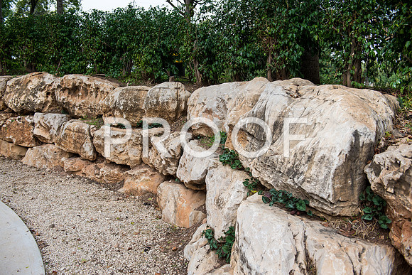 2018_Israel_Trip_03_04-GideonSprings7045