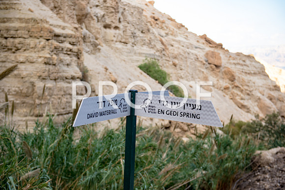 2018_Israel_Trip_05_05-7598