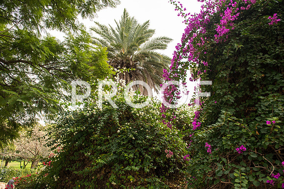 2018_Israel_Trip_03_04-GideonSprings7023