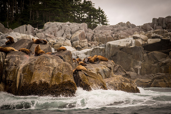 Fishing_610_2109
