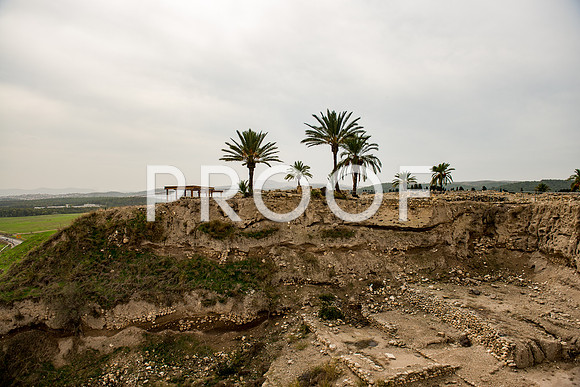 2018_Israel_Trip_03_03-Megiddo7004