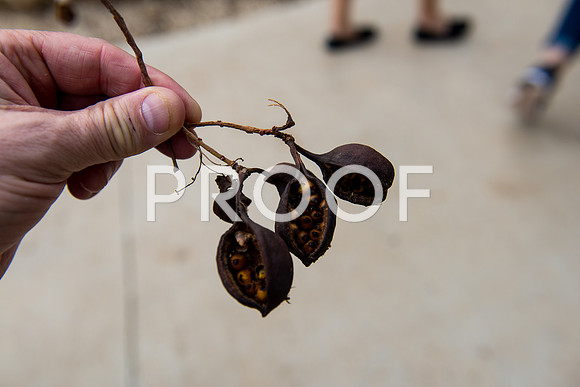 2018_Israel_Trip_03_04-GideonSprings7047