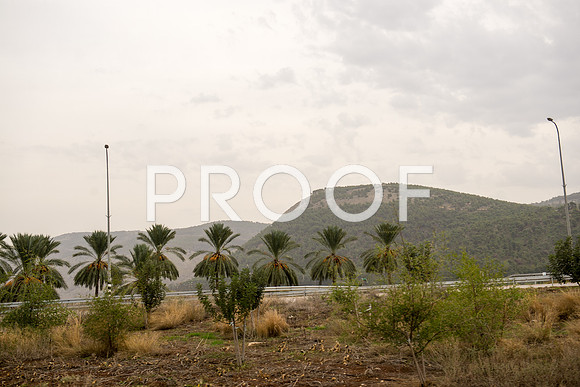 2018_Israel_Trip_03_04-GideonSprings7018