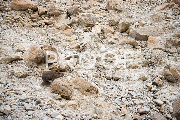 2018_Israel_Trip_05_05-7566