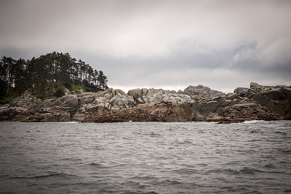 Fishing_750_9485