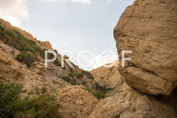 2018_Israel_Trip_05_05-7558