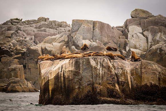 Fishing_610_2099
