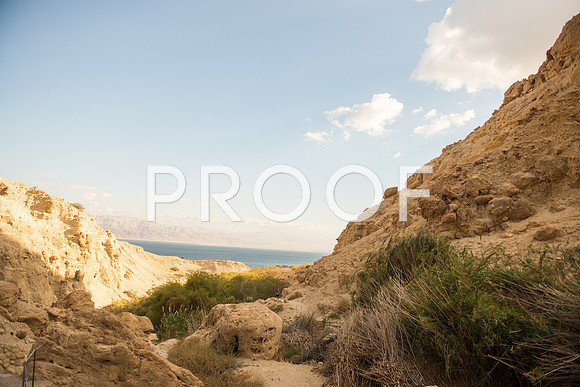 2018_Israel_Trip_05_05-7561