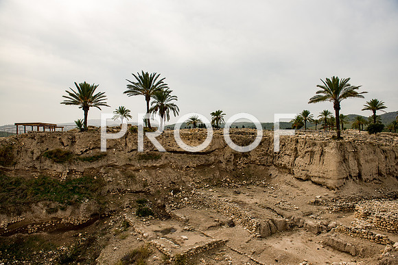 2018_Israel_Trip_03_03-Megiddo7005
