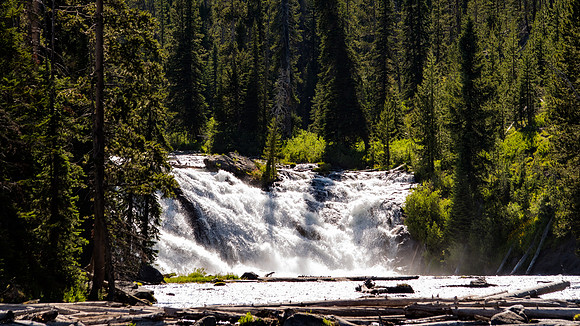 2020_FamilyVaca_Day06_Yellowstone_20200710_165420.4228