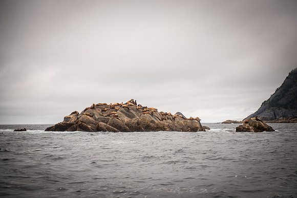 Fishing_750_9450